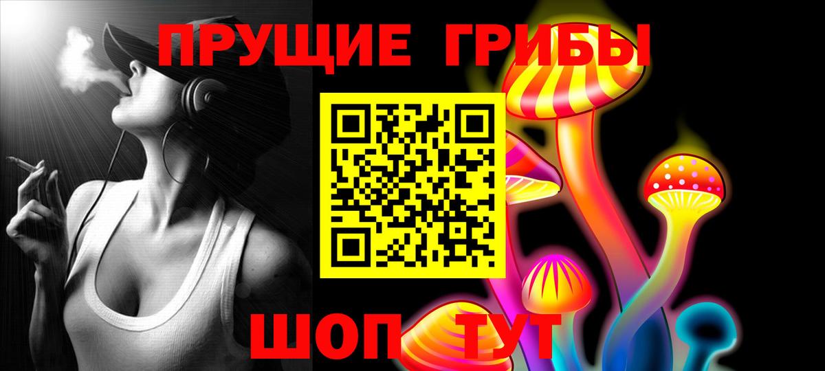 Псилоцибиновые грибы Psilocybine cubensis  Вход с VPN  Аша 